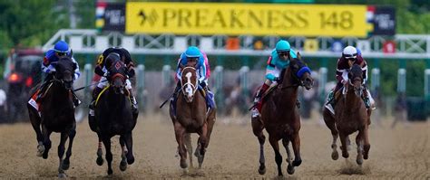 preakness morning line odds|Morning Line Odds, Post Draw For 2023 Preakness .